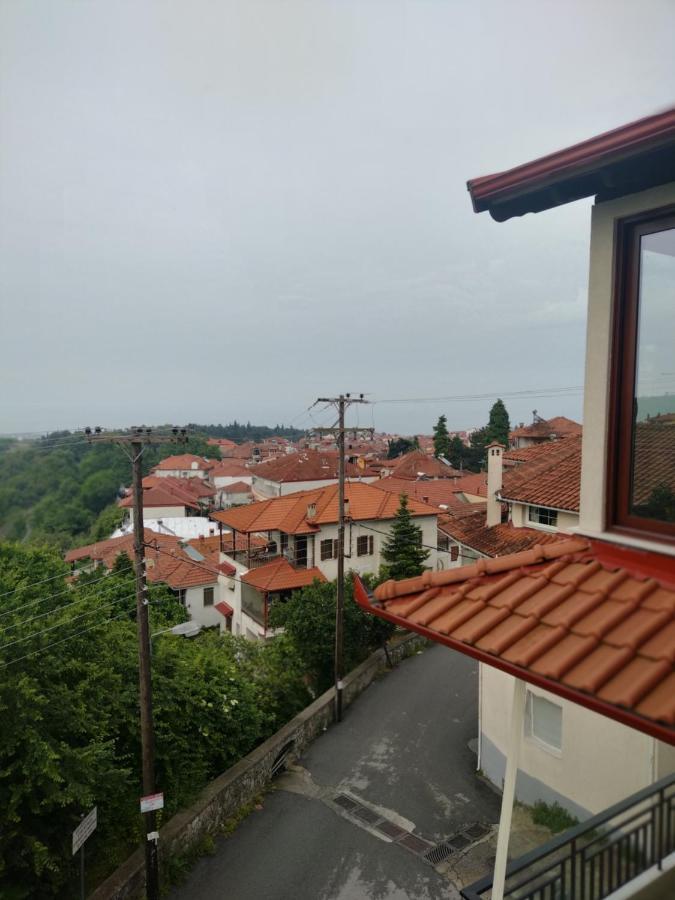 Apartamento Ζεφυροσ Litochoro Exterior foto